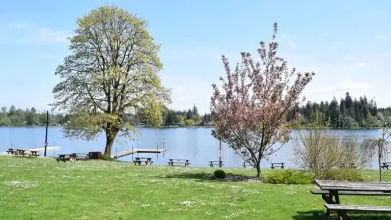 Cherry blossoms and lakeside benches at Columbus Park