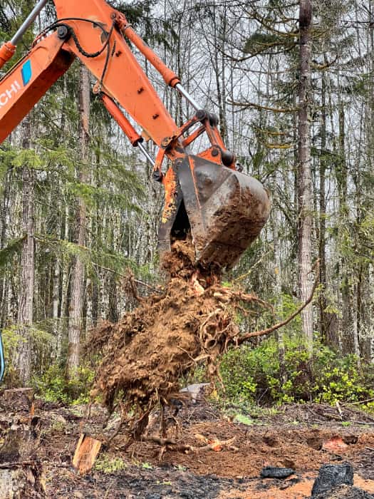 Stump removal 🌲 No job too big or too small!