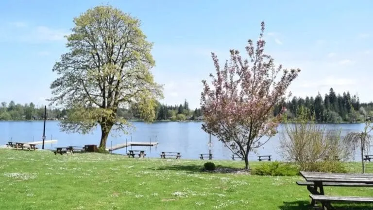 Cherry blossoms and lakeside benches at Columbus Park, from its public website